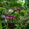 BATUKARAS Orchid Homestay