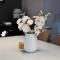 TL Warmest Homestay