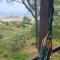 Vista da Guarita