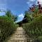 Backpackers Hill Resort