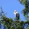 Sheltered Nook On Tillamook Bay - Bay City