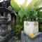 Rumah Kultur