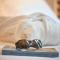 Hotel Mercure Brest Centre Les Voyageurs photo 23