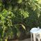 Best location in Vrachati