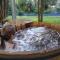 Lodge Tenis Pucon cl
