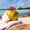 MANOLO Beach Resort