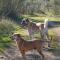 Herdade da Yucca - Retreat & Spa