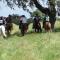 Herdade da Yucca - Retreat & Spa