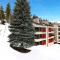 Marriotts StreamSide Douglas at Vail