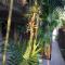Flats Vila Vitoria Residencial