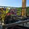 Nature Paradise Guesthouse