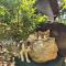 Nature Paradise Guesthouse