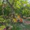 Nature Paradise Guesthouse