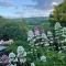 Walkers Retreat with garden and views