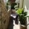 Agapis Two Levels Studio