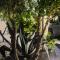 villa.sunny.nin