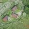 Charming Chalet with Swimming Pool in Quend
