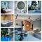 Molo Wellness Apartmanok