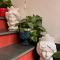 Taorminas Sun Central Boutique Guesthouse & Suites