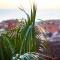Little Kasbah Surf Camp Imsouane