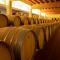 Cincinnato Wine Resort
