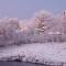 Căsuța din livezi