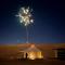 Desert waves camp