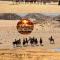 RUM MARS VALLEY BUBBLE lUXURY CAMP