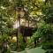 Cocolhu Treehouse & Ocean View