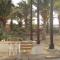 Torre Sabina