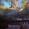 Barossa Valley’s Captain Rodda’s Cottage