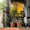 Guesthouse Chela