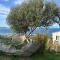 CAMPING MONTE ORTU CAMPING MONTE ORTU