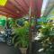 Cocos Hostel
