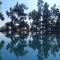 Blue Pine Orchards