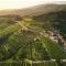 Peterc Vineyard Estate