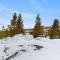Take the Mountain View