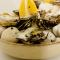 Bed & Breakfast Maison Noire Westende-bad incl parking & ontbijt