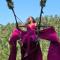 The Breeze Glamping