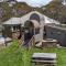 Currawong Lodge