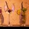 Guesthouse Vakantie Logies Hollywood