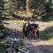 Snow Leopard Hostel