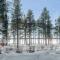 Holiday Home Ojala by Interhome