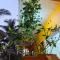 Krishna Guest House