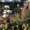 AGAVE HOUSE