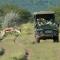 Ongava Lodge