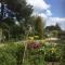 Beech View Cottage