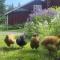 Holiday Home Hellinki by Interhome