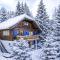 Chalet Willegger by Interhome