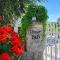 B&B il Faso vicino Zoosafari di Fasano